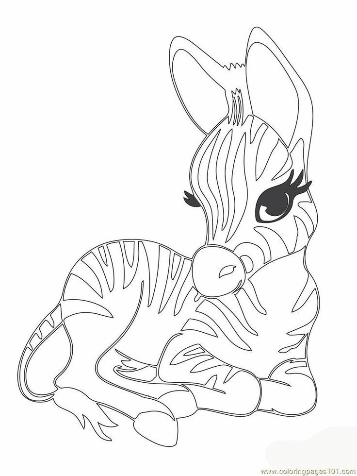 adorable animals clipart coloring pages difficult to color