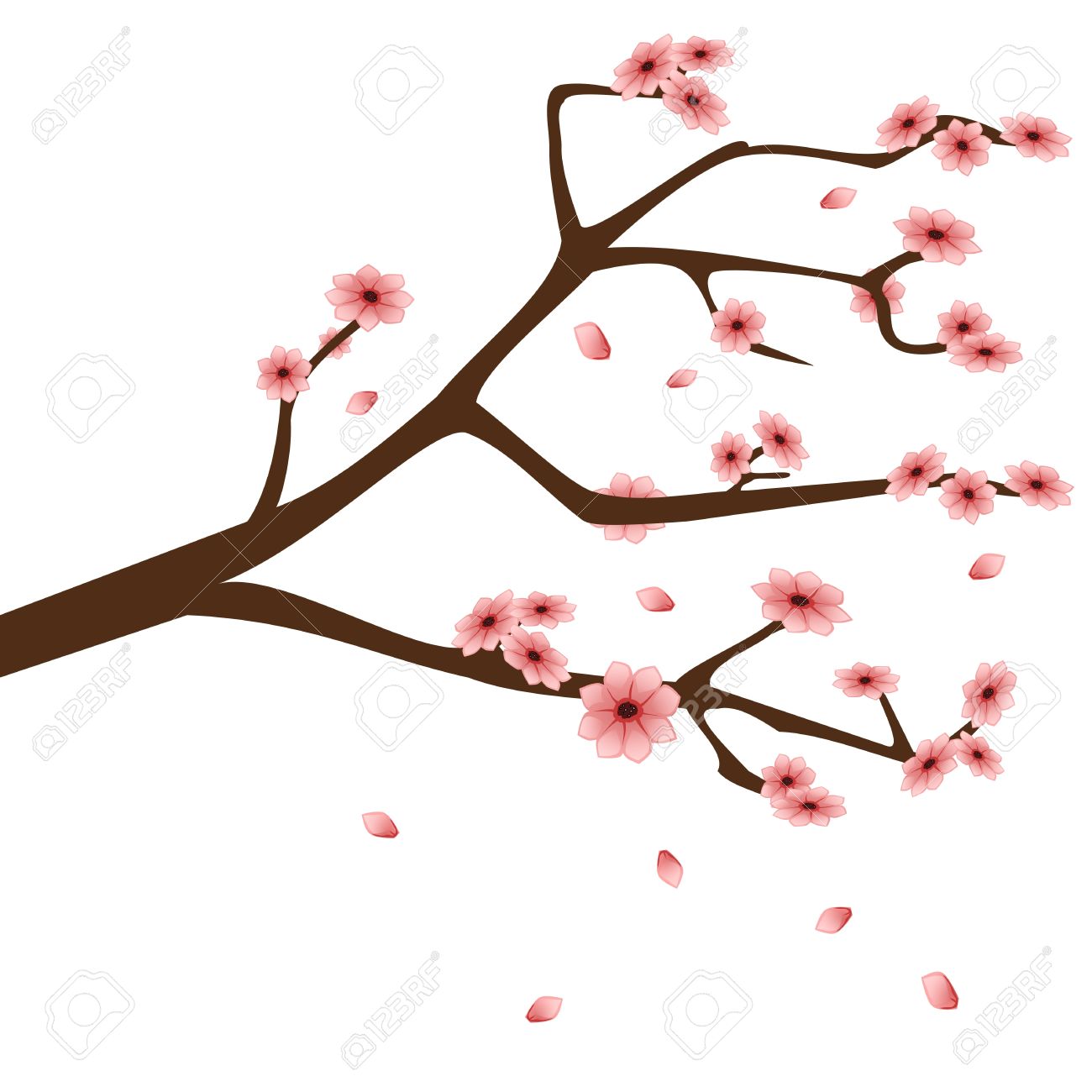 Almond blossom clipart - Clipground
