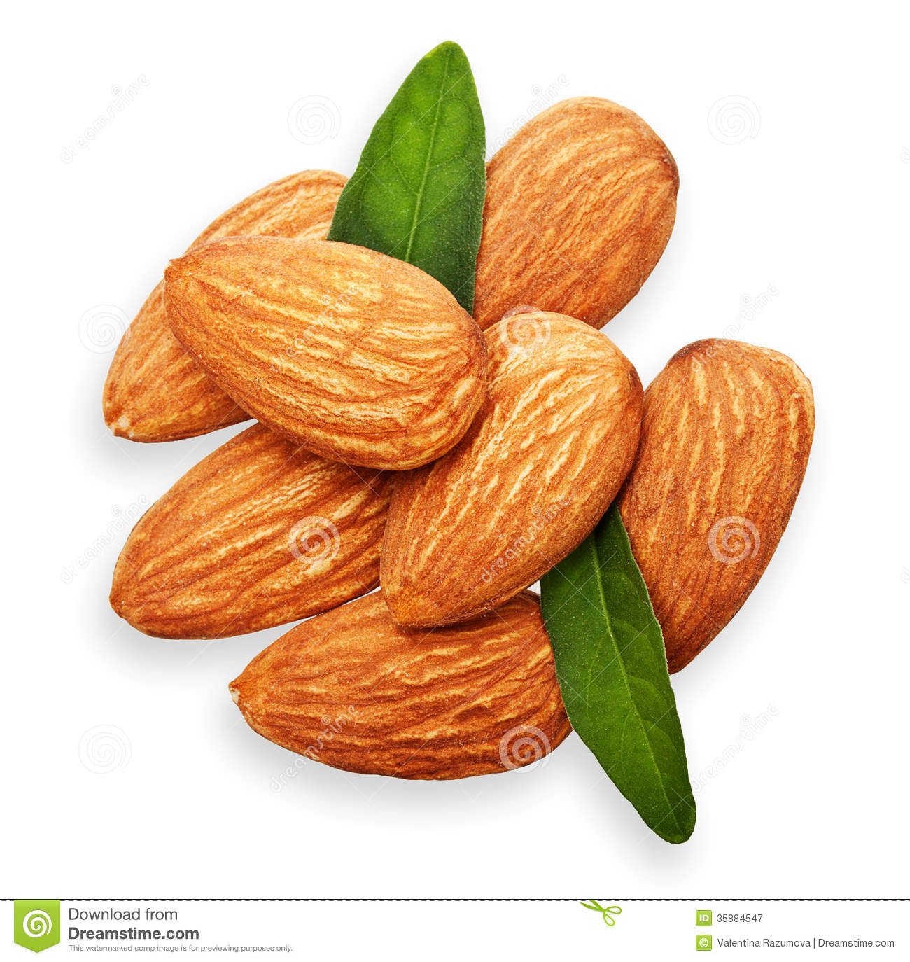 Almond Clipart Clipground