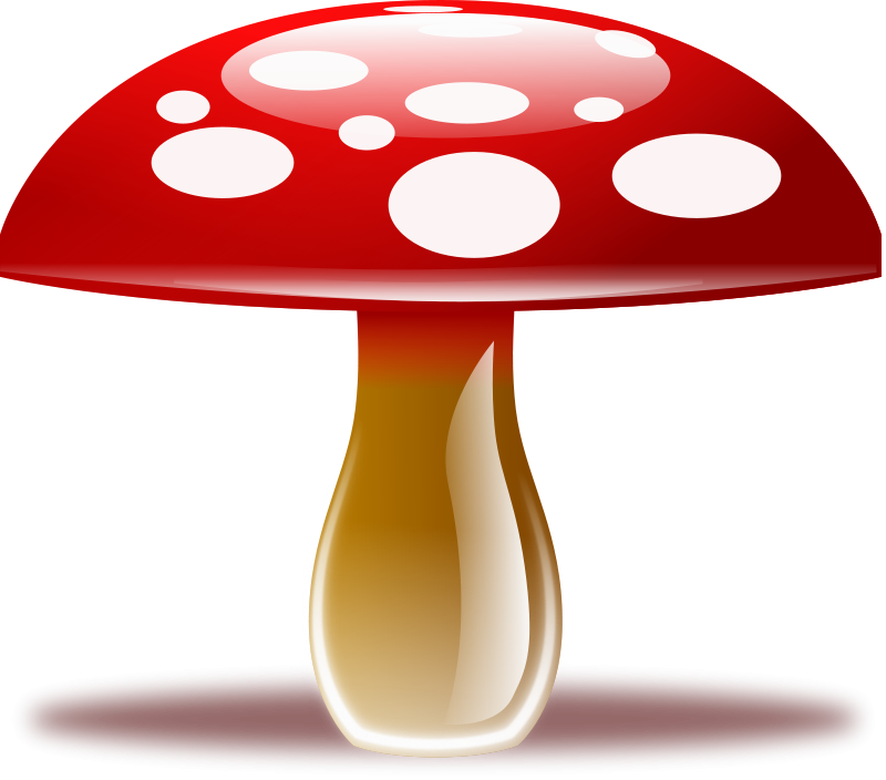 funky mushrooms clipart - photo #49