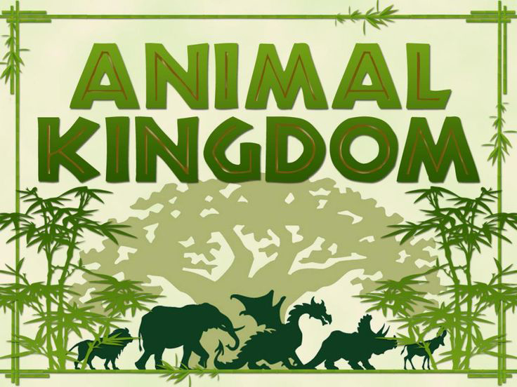 Animal kingdom clipart - Clipground