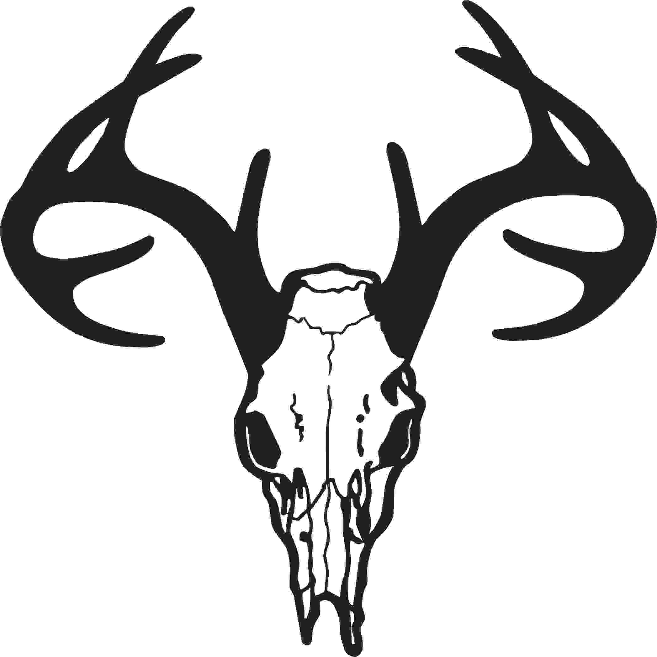 Animal Skull Clipart Clipground