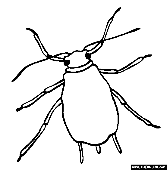 ladybug and aphid coloring pages - photo #1