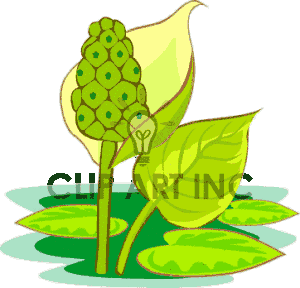 plant lacking water clipart - Clipground