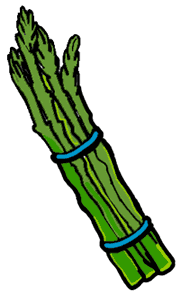 Asparagus clipart - Clipground