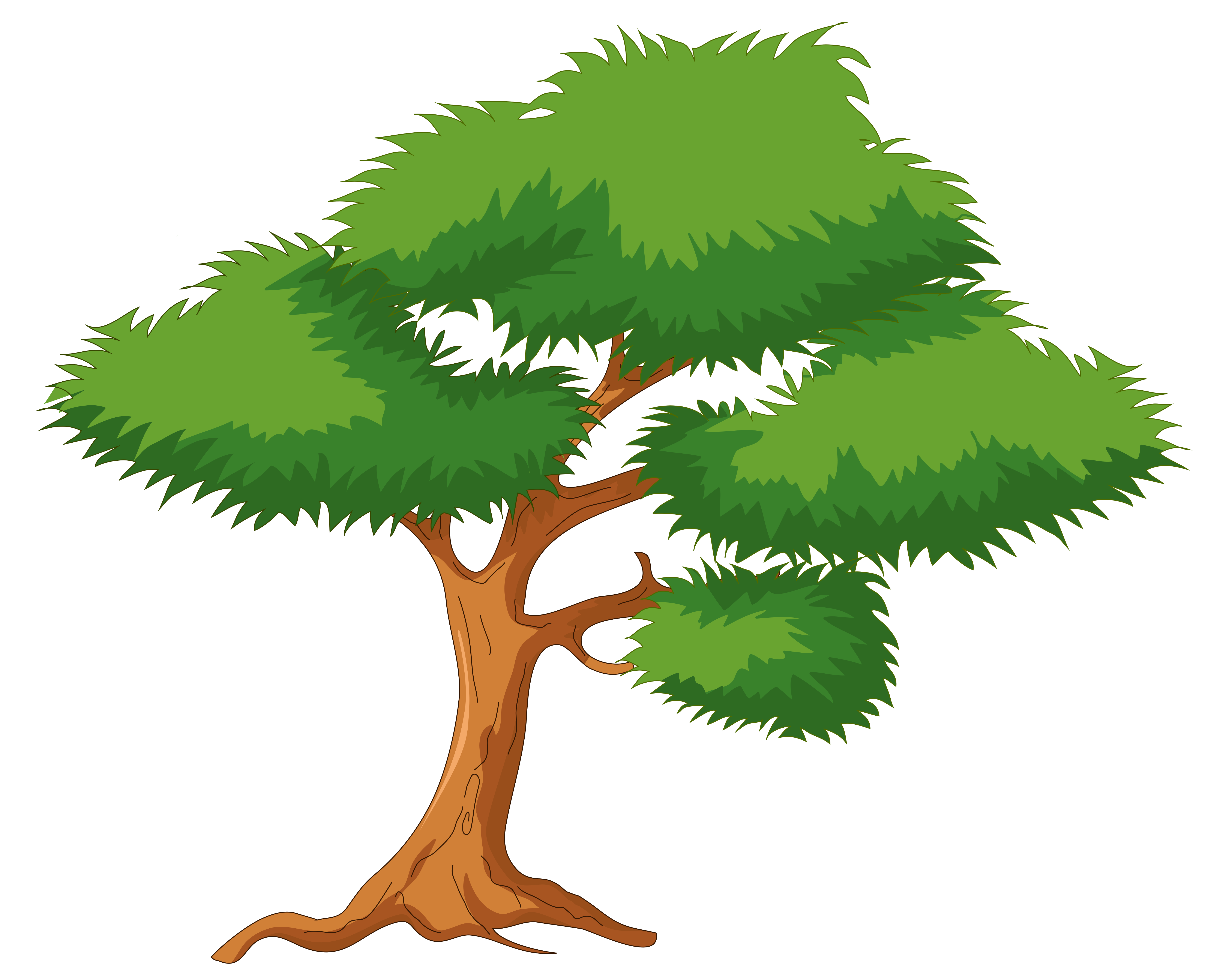 png tree clipart - Clipground