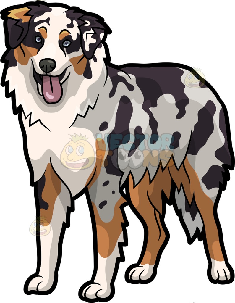 Australian shepherd clipart Clipground