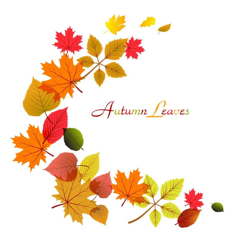 autumn clip art free download - photo #36