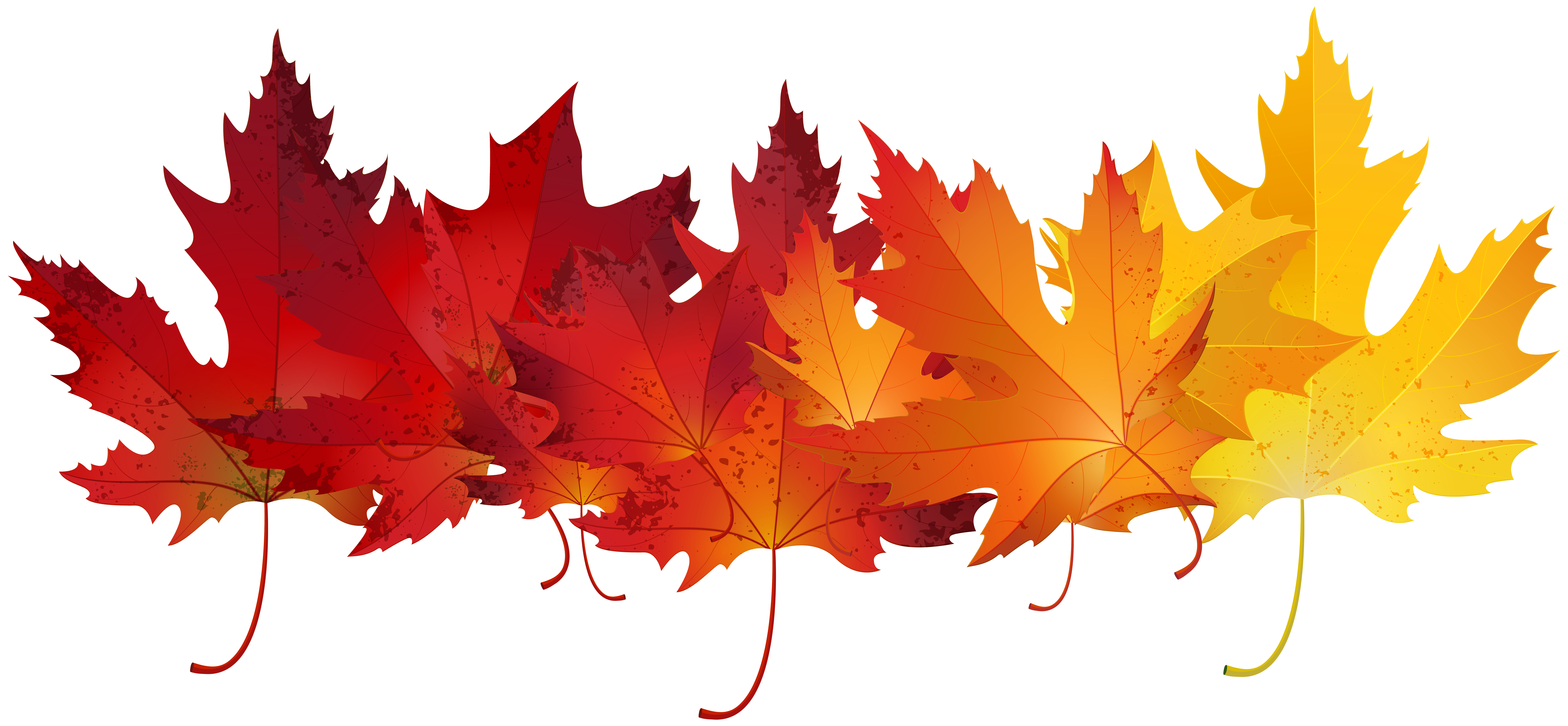 autumn-colours-clipart-clipground