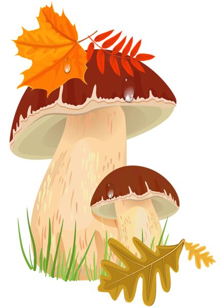 Autumn mushrooms clipart - Clipground
