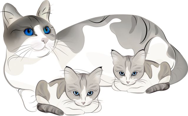 clipart cats and kittens - photo #11