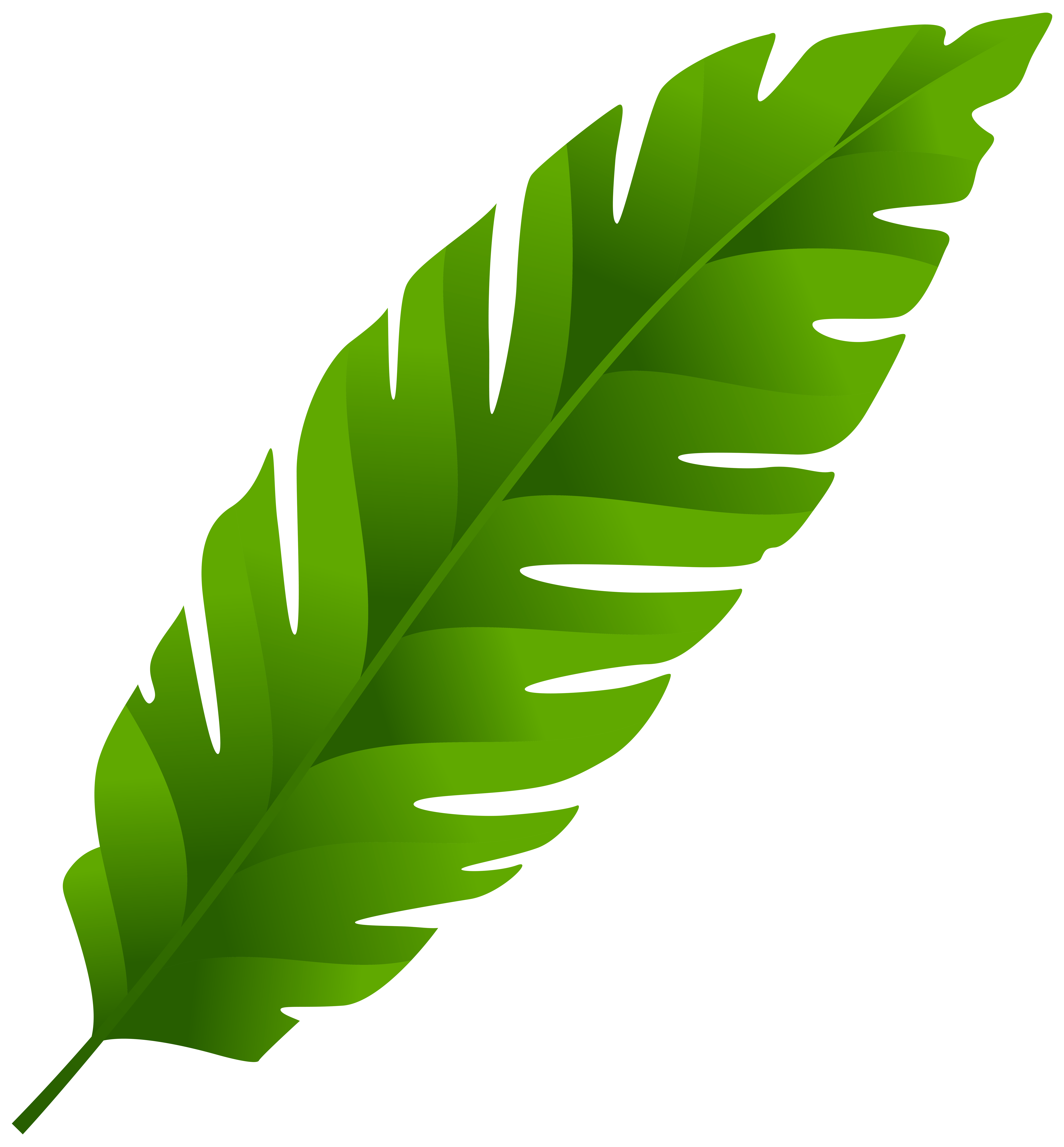 Leaf on web clipart - Clipground