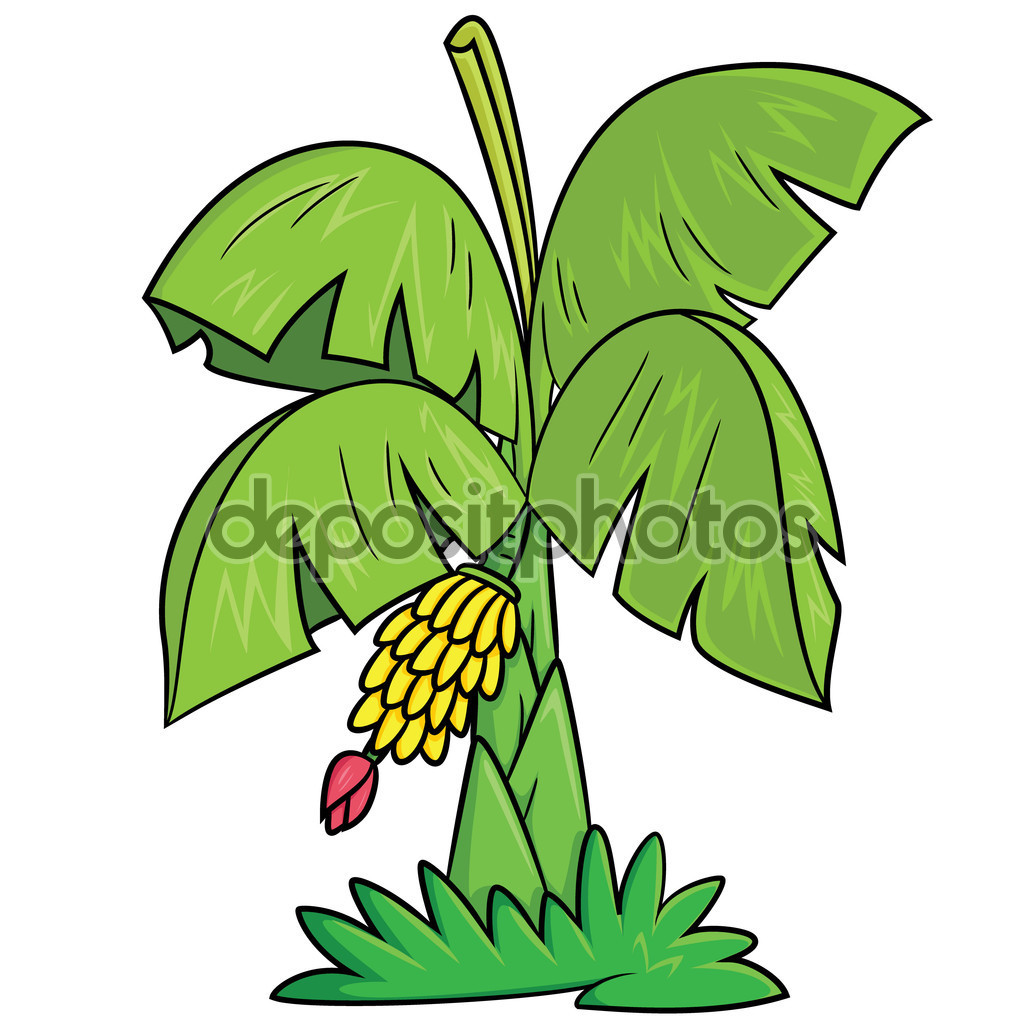 banana tree clip art - photo #37