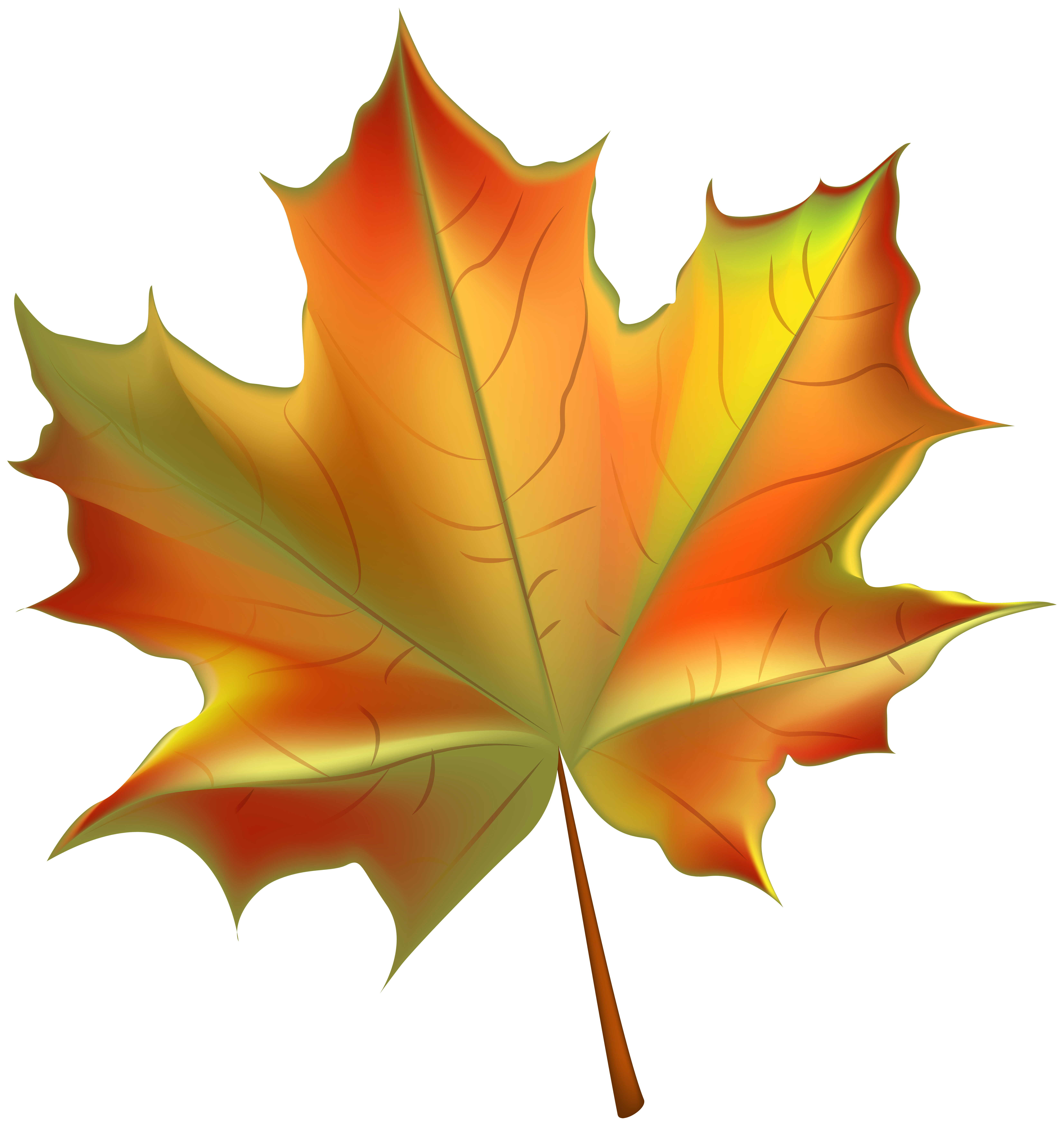 Autumn Leaves Clipart - Fall leaves bright autumn leaves clipart