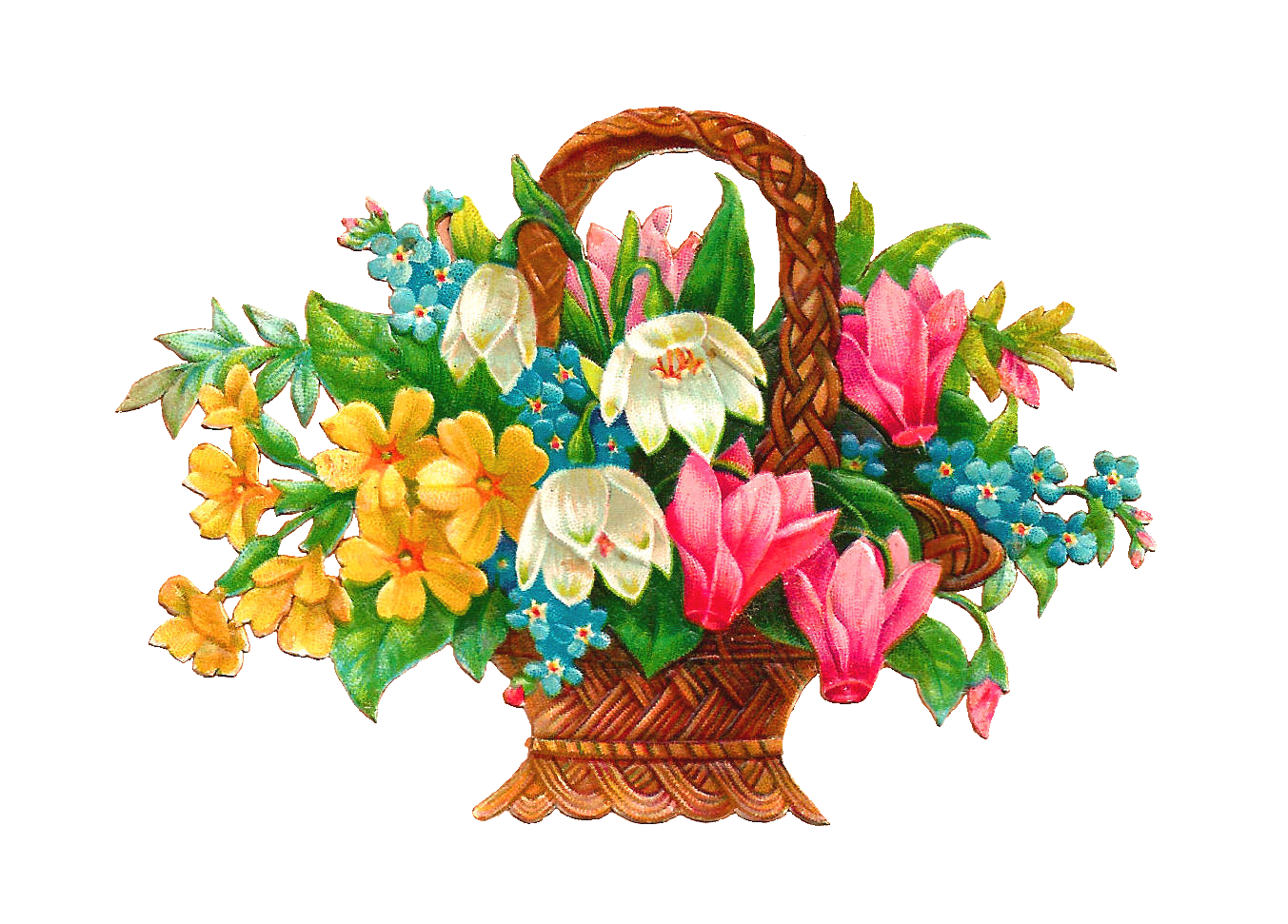 free-flowers-graphics-20-free-cliparts-download-images-on-clipground-2019