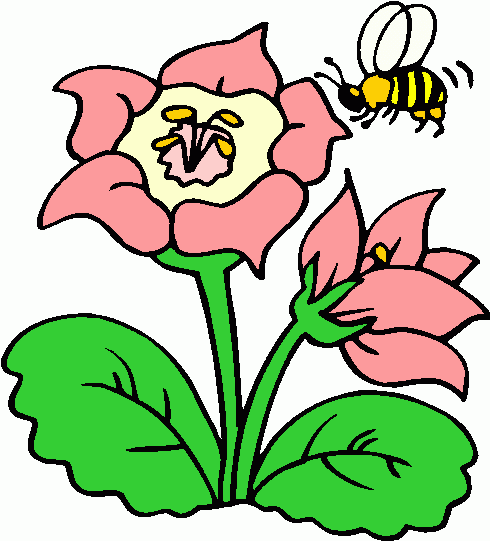 clipart bee on flower - photo #17