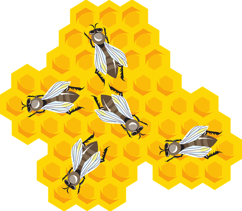 Bees wax clipart - Clipground