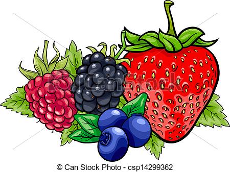 The berries clipart - Clipground