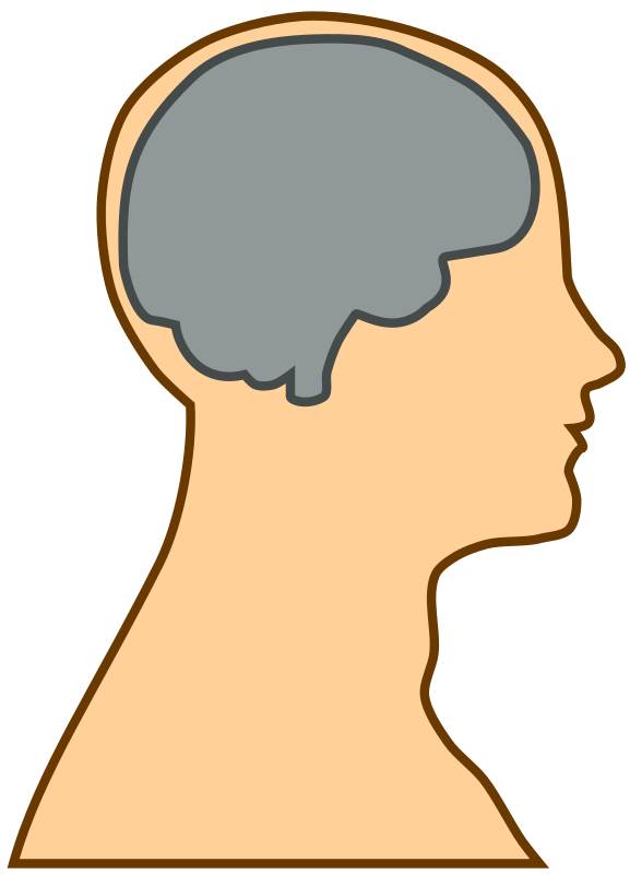 clipart brain outline - Clipground