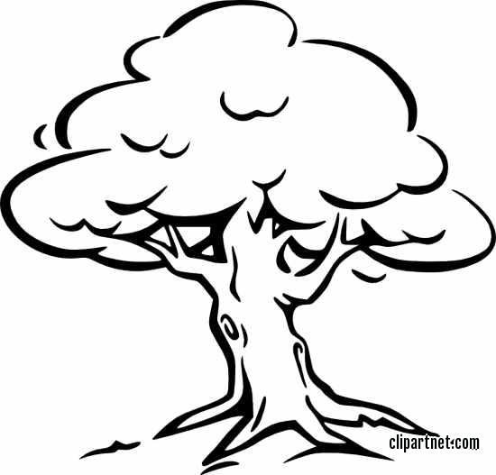 clipart family trees black and white - photo #26