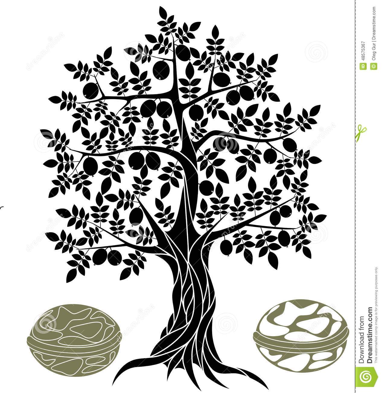 Walnut tree clipart - Clipground