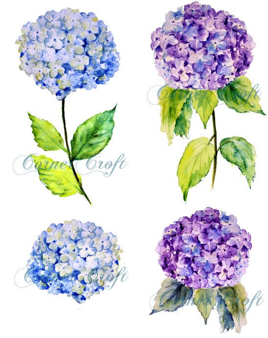My Painted Garden Painting Blue And White Inspirations