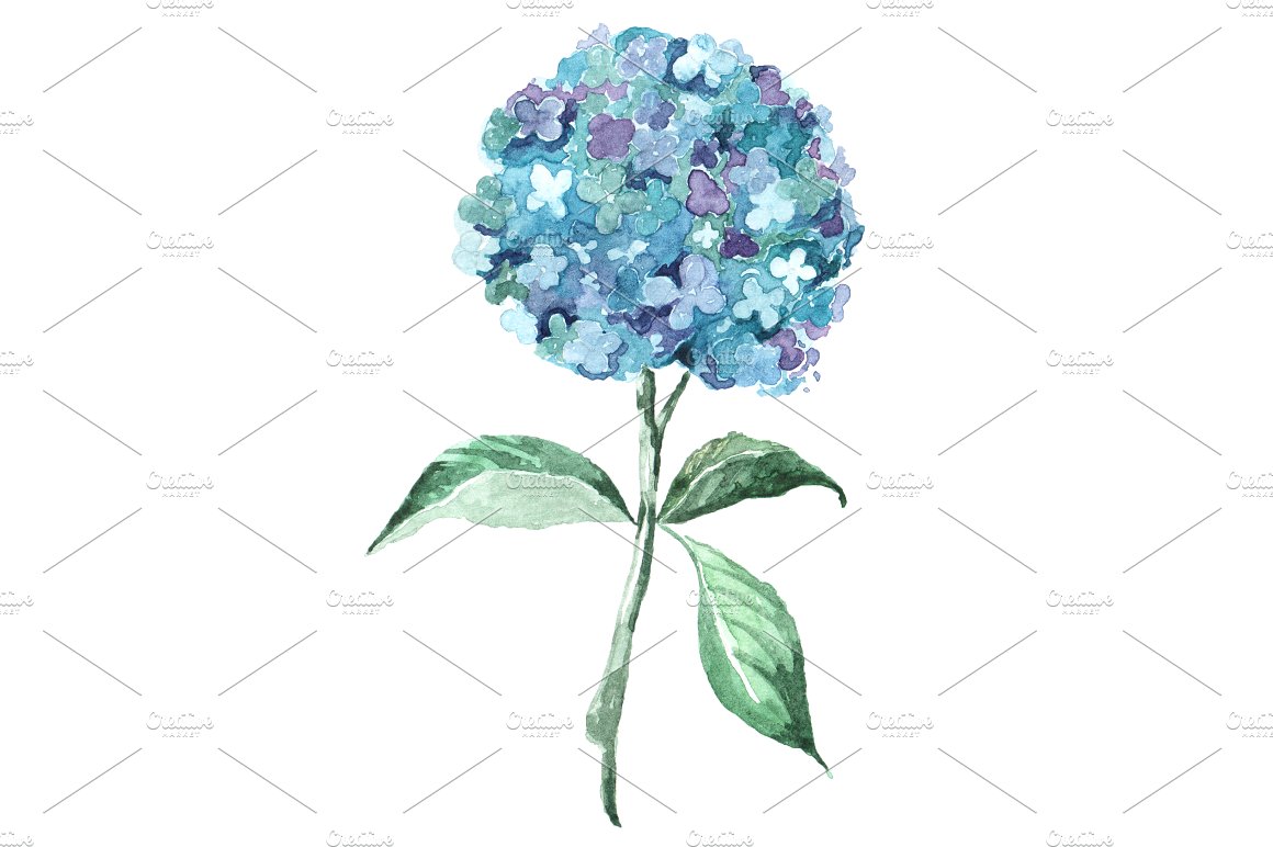 free clip art hydrangea flowers - photo #21