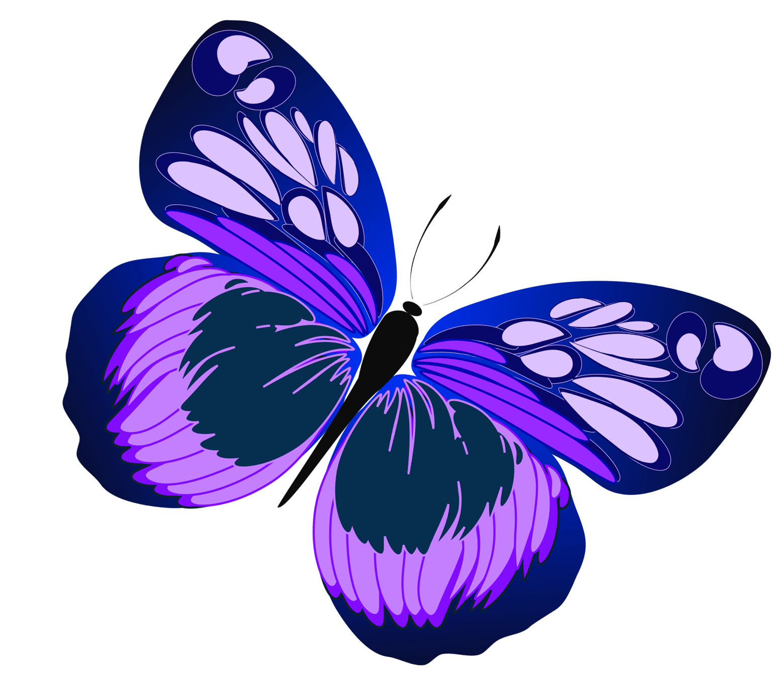 purple butterfly border clipart - Clipground