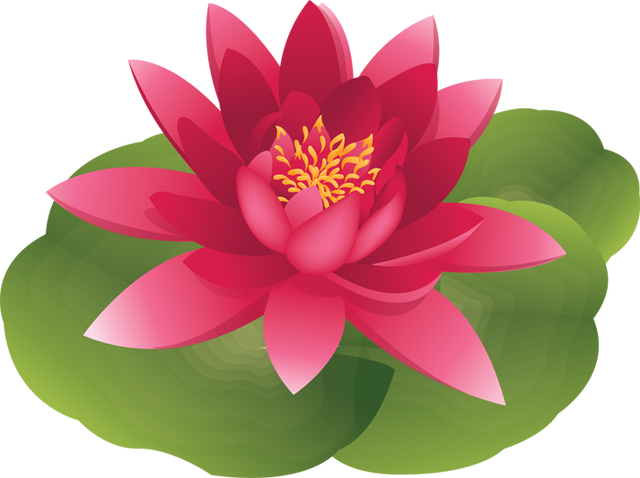 Waterlilies clipart - Clipground