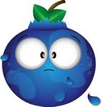 Blueberry clipart - Clipground