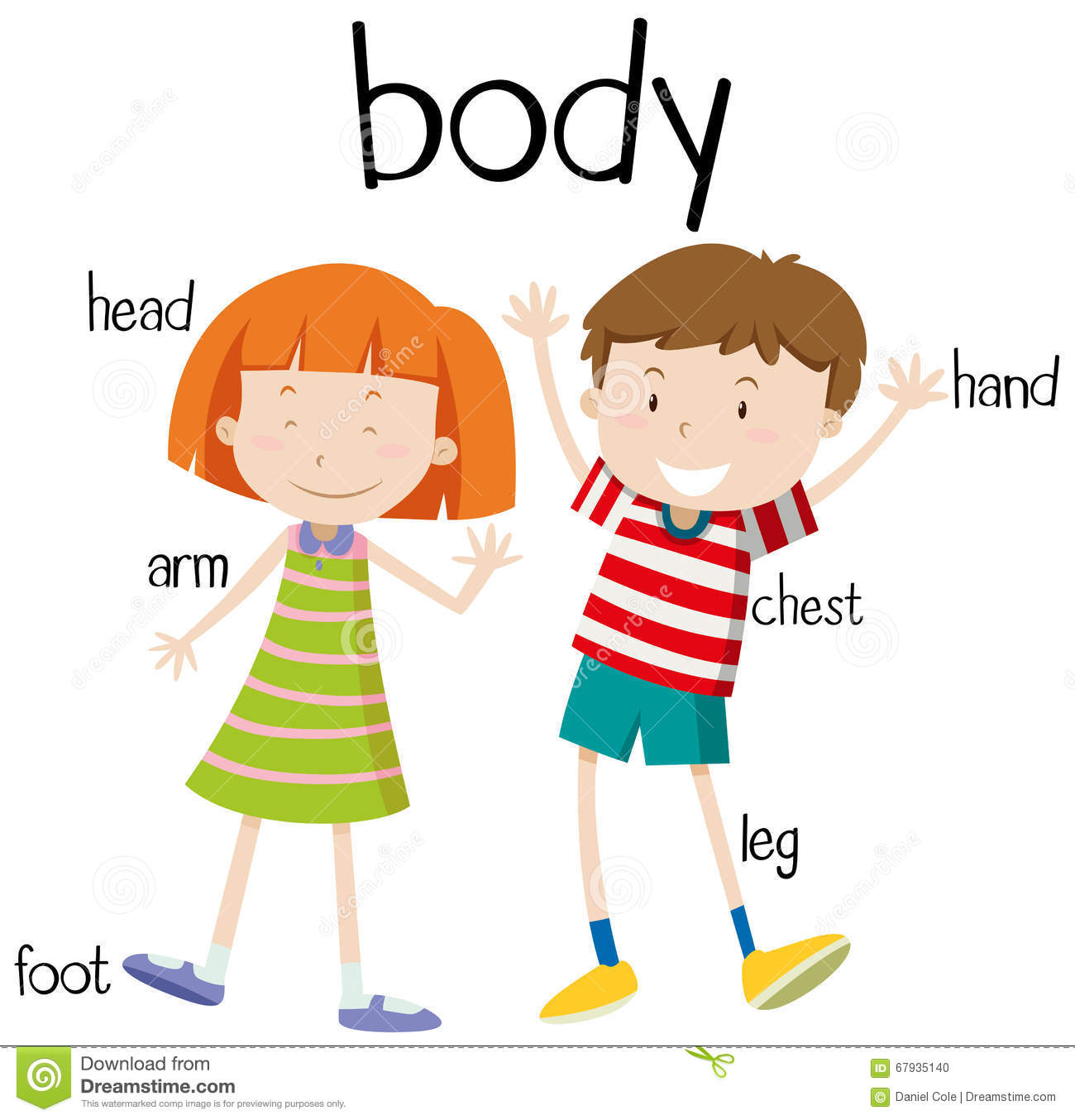 drawing of our body