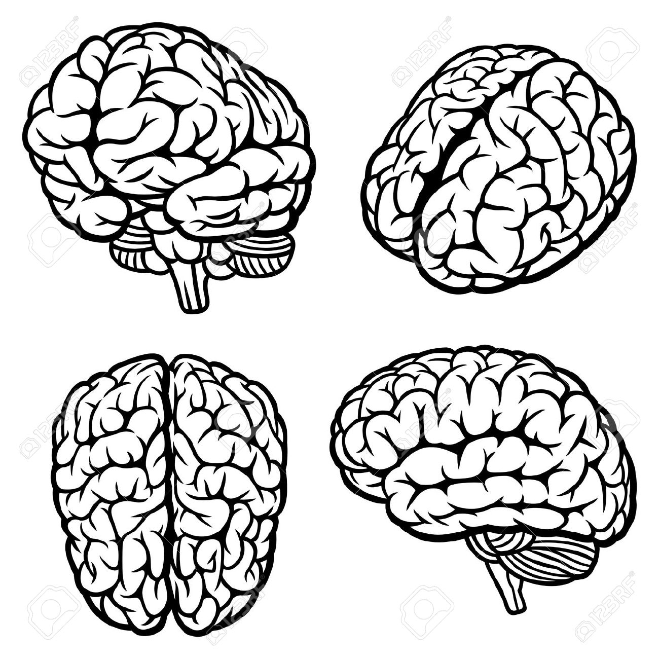 brain outline clipart black and white forward - Clipground