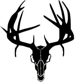 buck deer skull clip art - Clipground