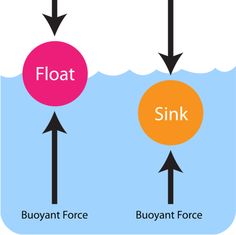 Buoyancy clipart - Clipground