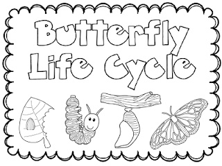 butterfly life cycle clipart black and white - Clipground