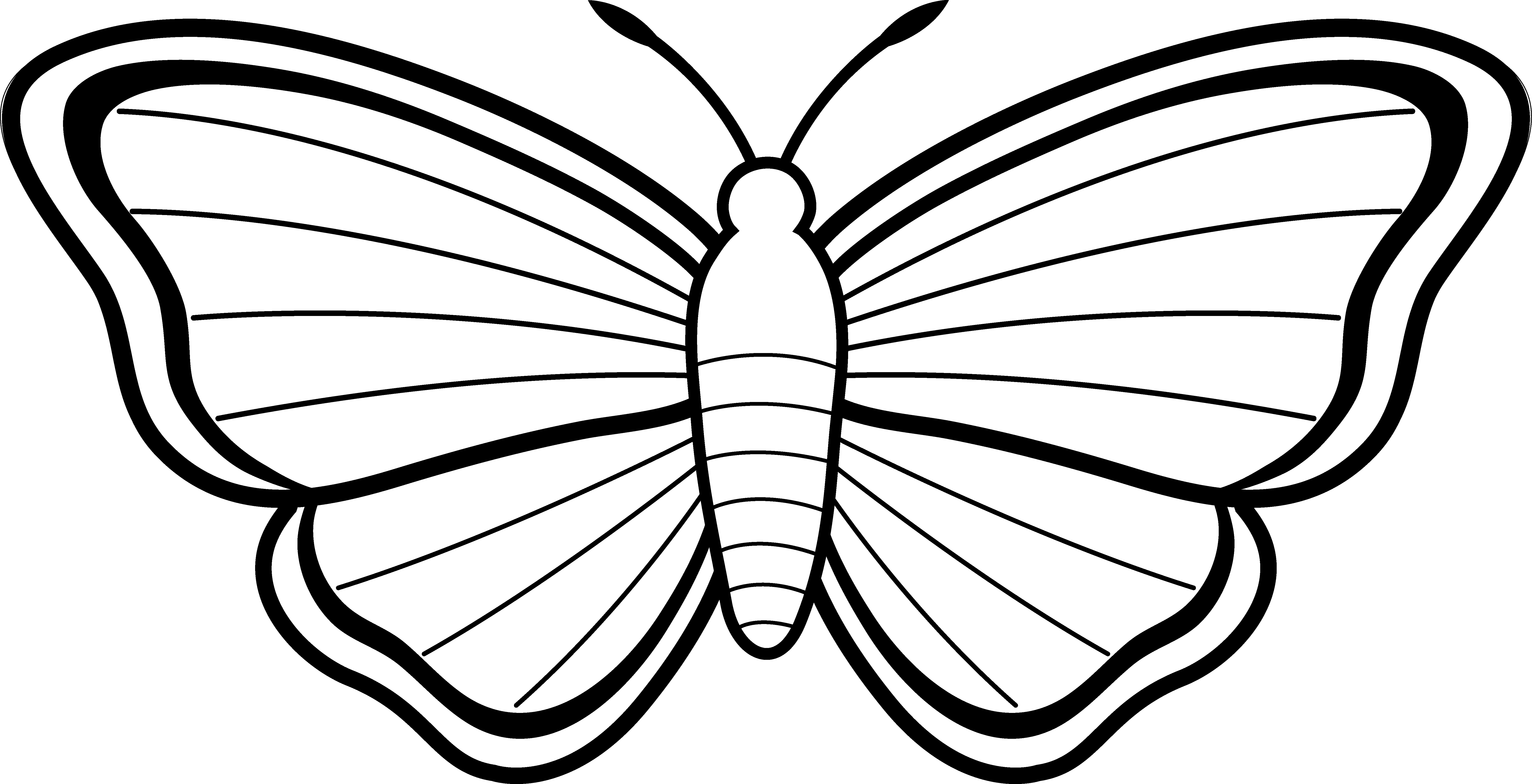 Butterfly Outlines Clipart Clipground