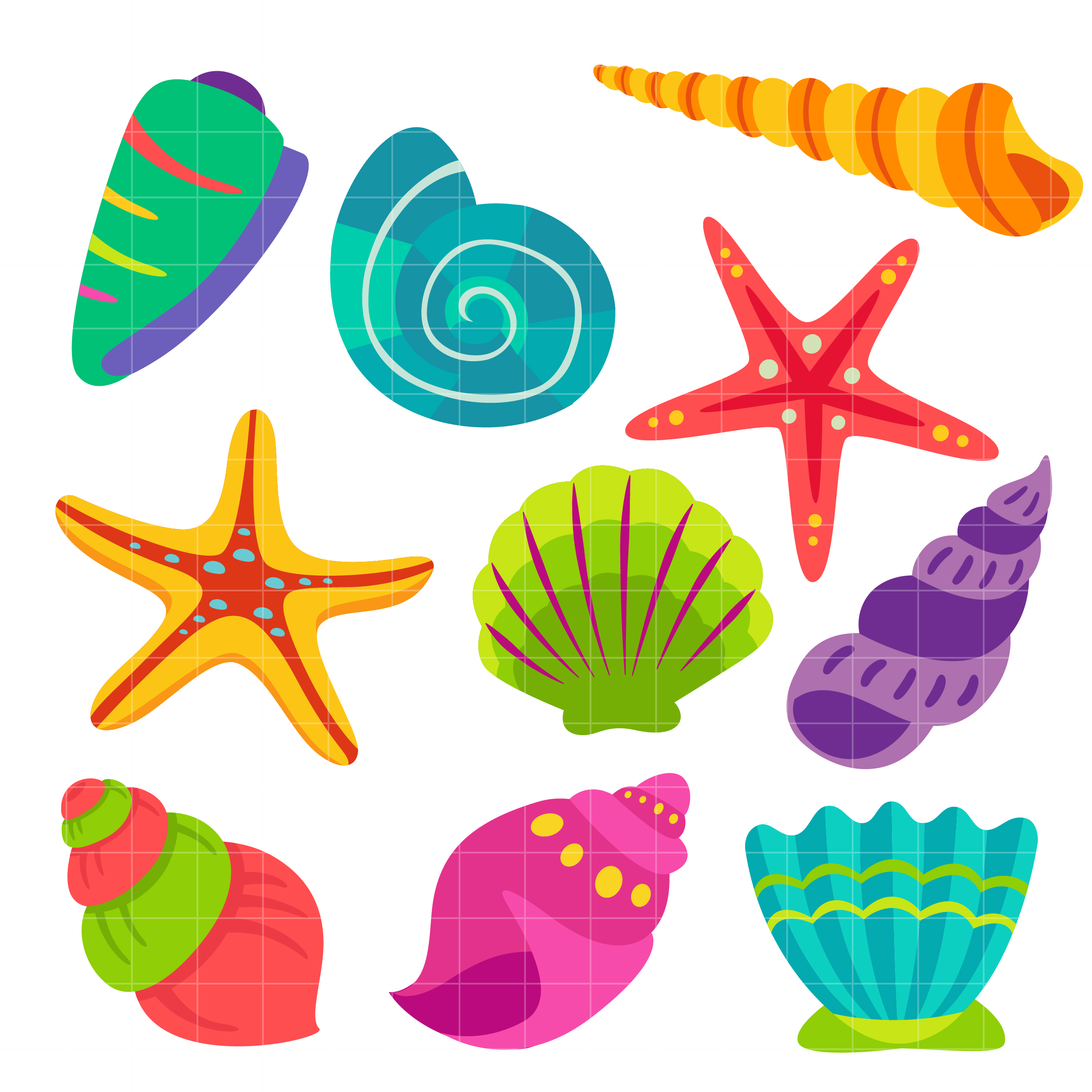 Seashells clipart - Clipground