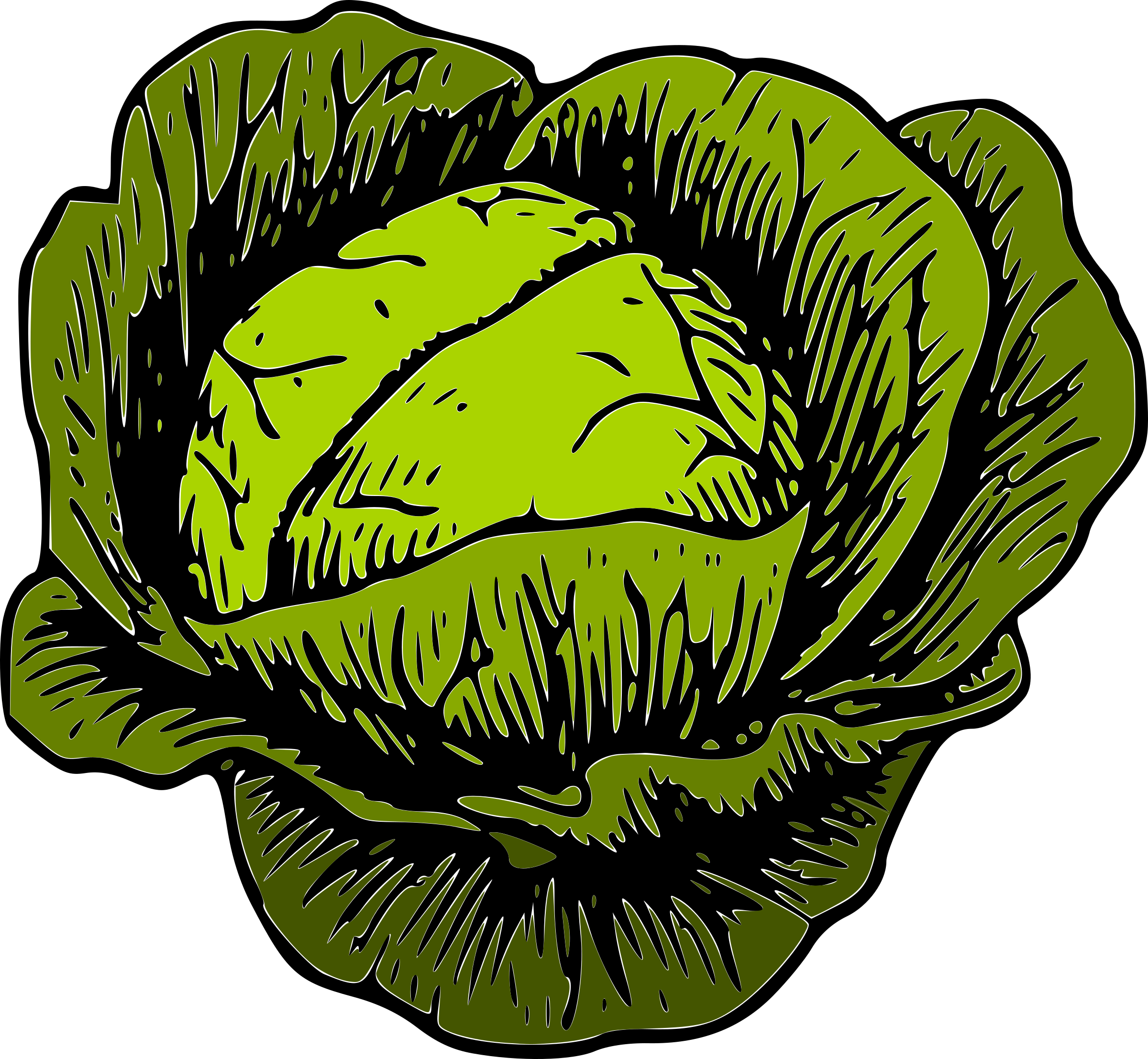 clipart of green vegetables - photo #47