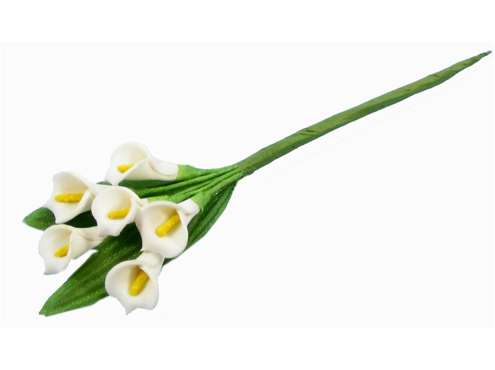free clip art calla lily flower - photo #25