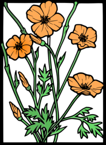 California poppies clipart - Clipground