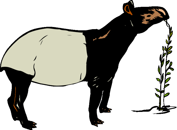 Capibara clipart - Clipground