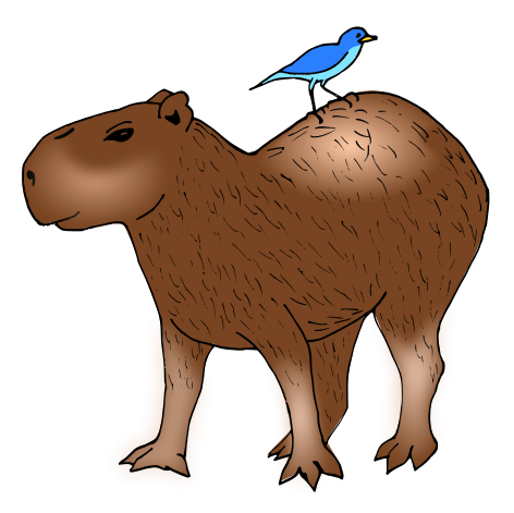 Capybara clipart 20 free Cliparts | Download images on Clipground 2020