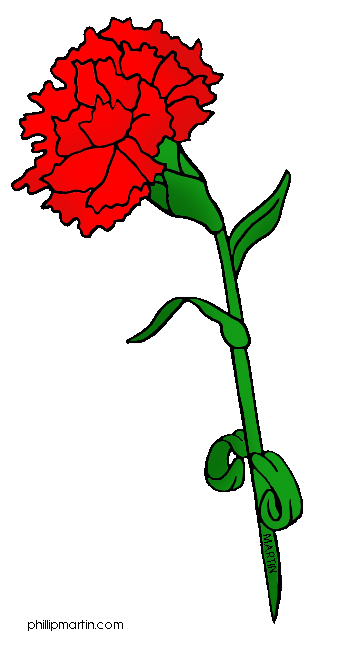 Carnation flower clipart - Clipground