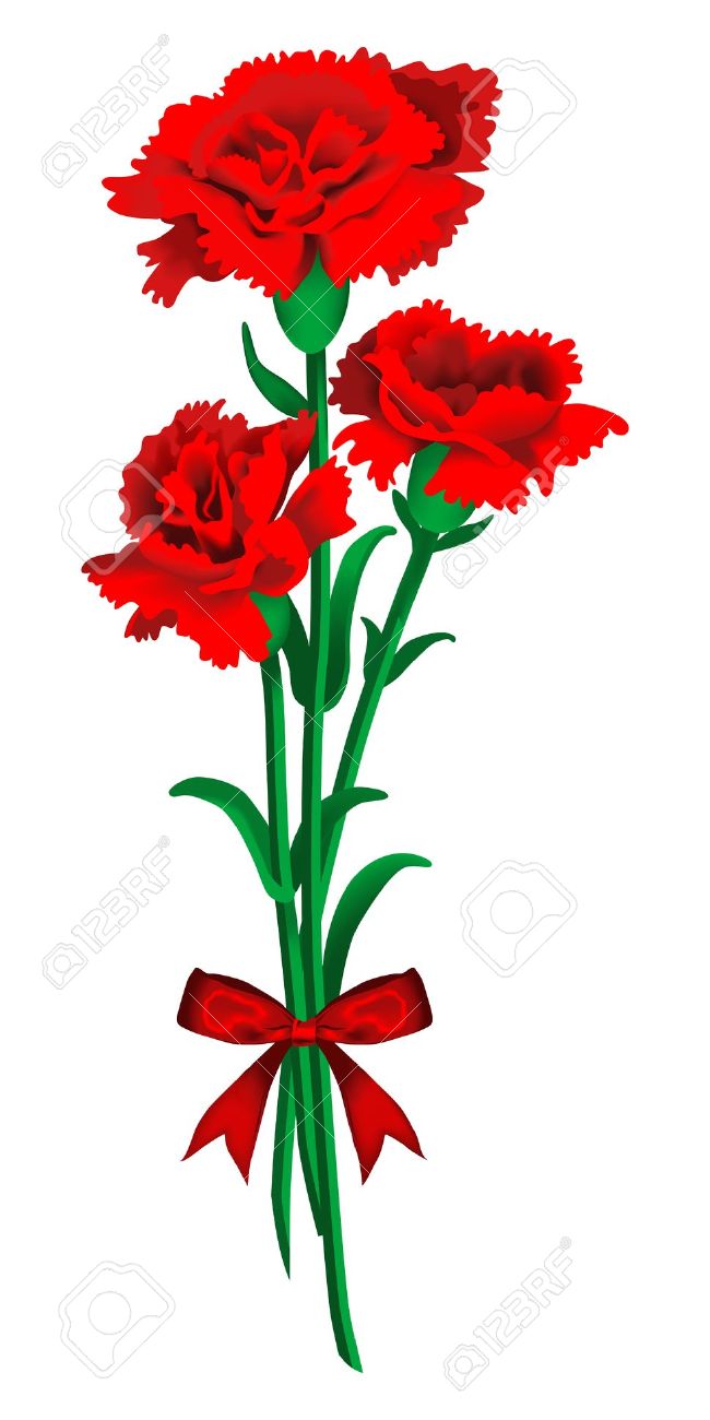 Red carnations clipart - Clipground