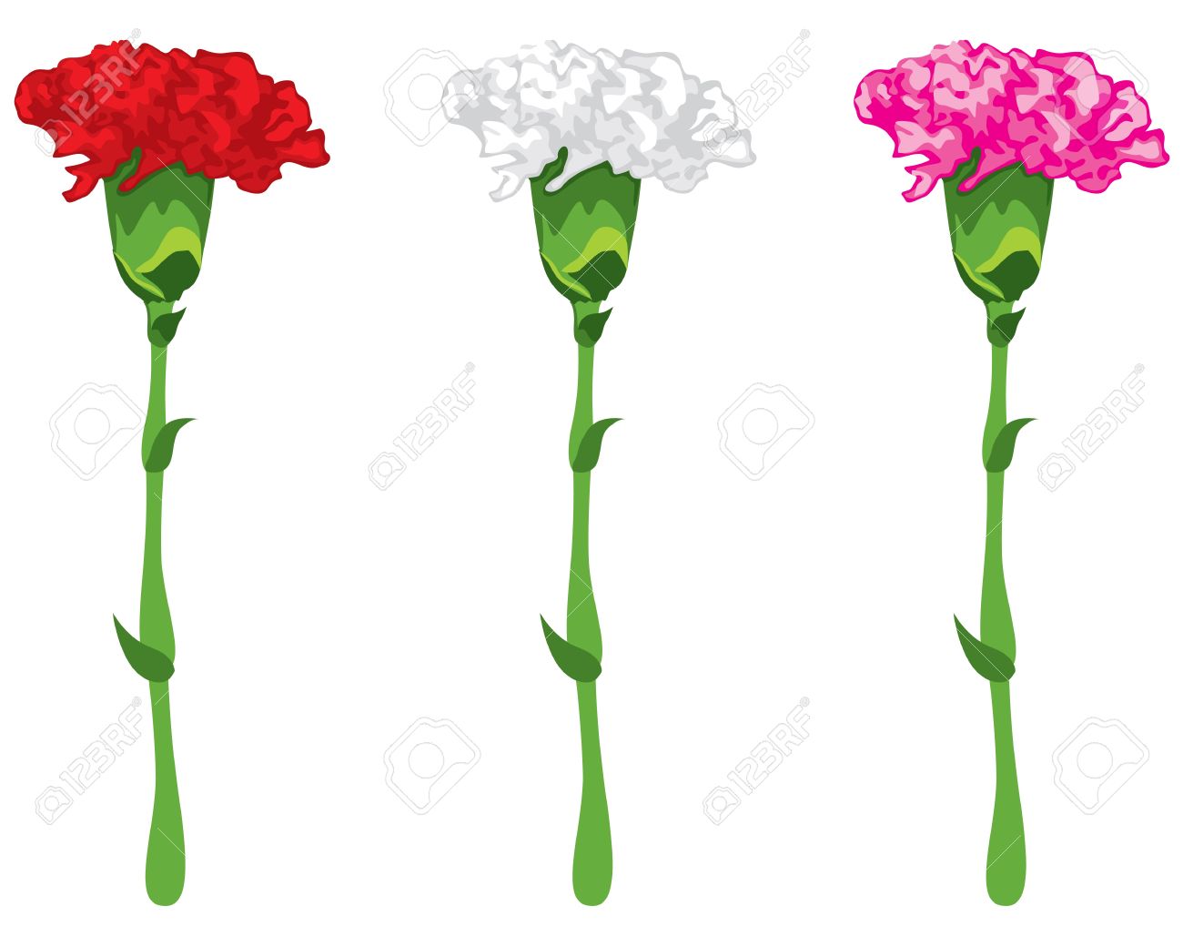 clip art carnation flower - photo #11