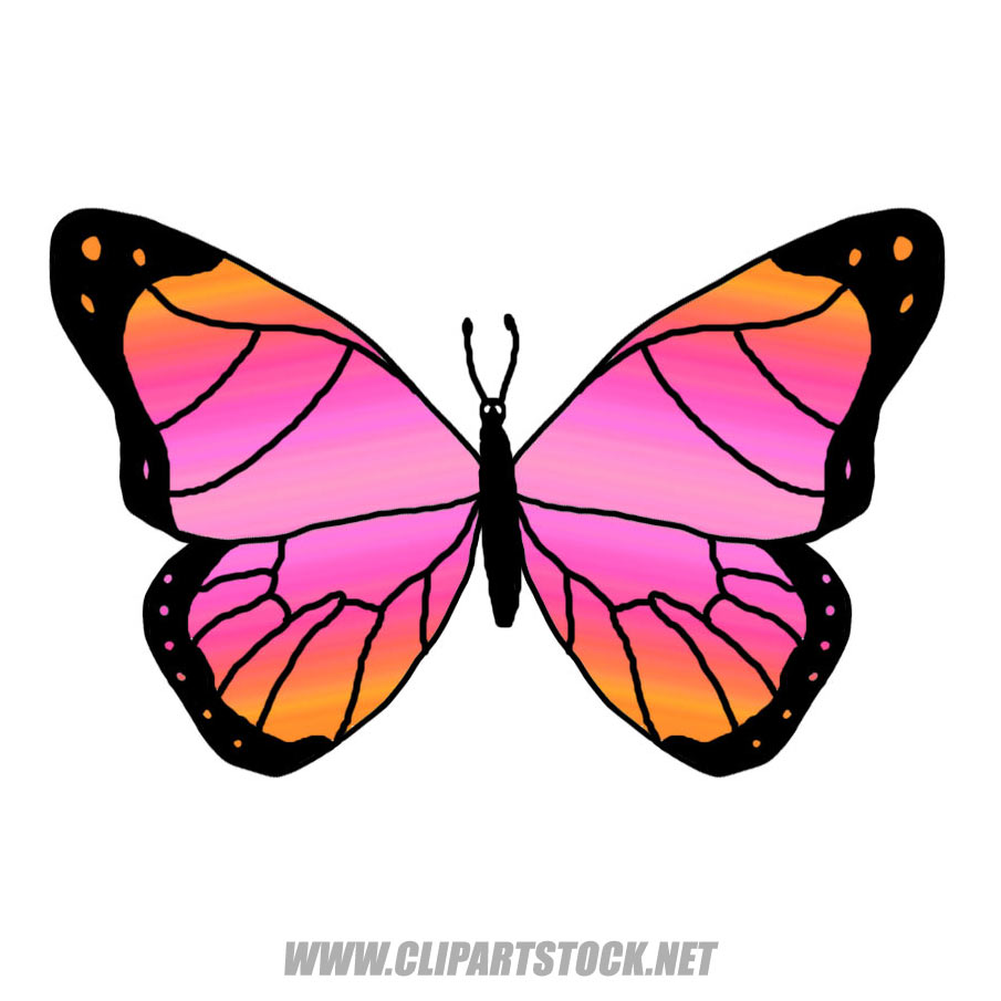 cartoon animals clipart butterfly - Clipground