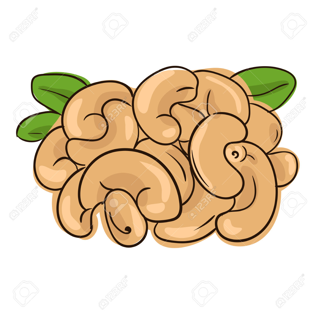 clipart of tree nuts - photo #26