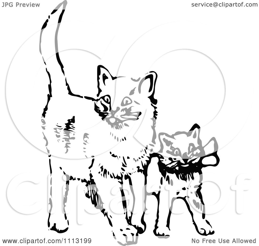 cat and kitten clipart black and white - Clipground