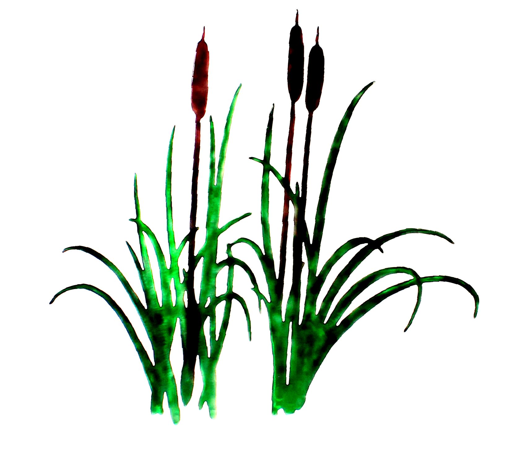 Cattail family clipart - Clipground