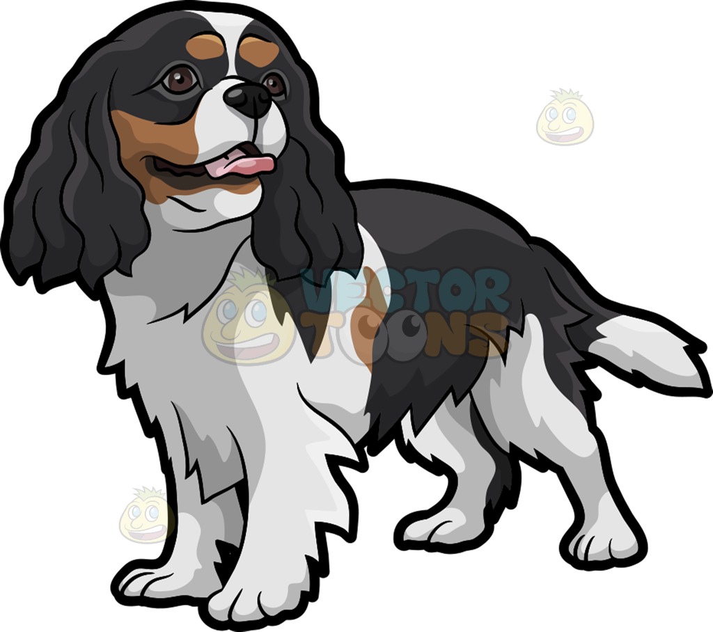 Cavalier Clipart Clipground